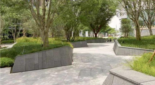 植物景觀丨這些樹(shù)種出來(lái)的藝術(shù)