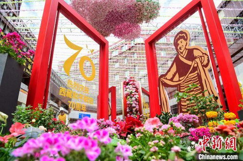 西藏首屆花卉藝術(shù)旅游文化開幕 數(shù)萬鮮花綻放雪域高原